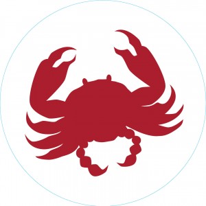Bogg Bit - Crab | ITOLZX413