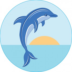 Bogg Bit - Dolphin | HRBVPD798