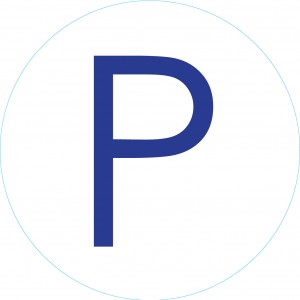 Bogg Bit - Initial "P" | VLSYPN861