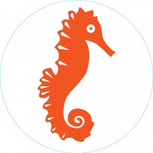 Bogg Bit - Seahorse | BTGFCD803