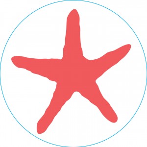 Bogg Bit - Starfish | KJFEDM726