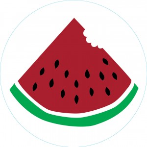 Bogg Bit - WATERMELON | ZFWGSD894